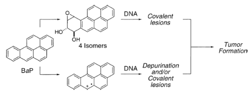 Mechanism of DNA lesion formation